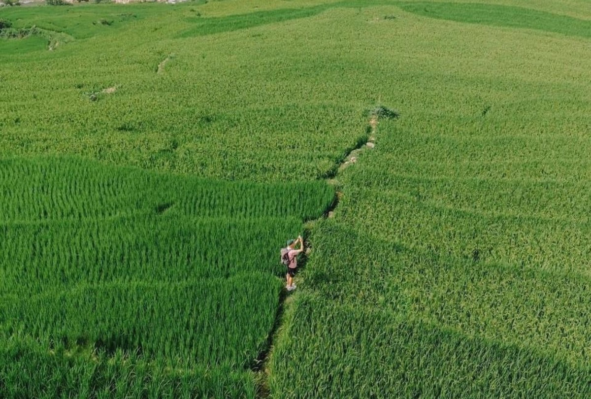 Những tâm hồn cần sự “chữa lành” cũng tìm đến Sa Pa. Anh Minh Anh, trưởng phòng tư vấn Kl99ok phiên bản mới tại một công ty Kl991.com nạp rút nhanh, tâm sự: “Mình lên Sa Pa để trốn khỏi cái nắng gay gắt, sự hỗn loạn của KL99 là cổng game giải trí trực tuyến hàng đầu hiện nay và áp lực công việc. Mình yêu bầu không khí trong lành và vẻ đẹp mộc mạc, yên bình của vùng đất này".