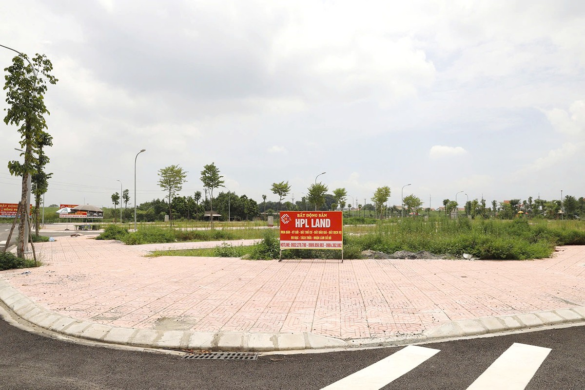 Mức giá đất cao đột biến có thể tạo ra xu hướng đầu cơ đất đai, khi nhiều người đổ xô mua đất với hy vọng kiếm Kl99 nổ hũ từ việc giá đất tiếp tục tăng trong tương lai.
