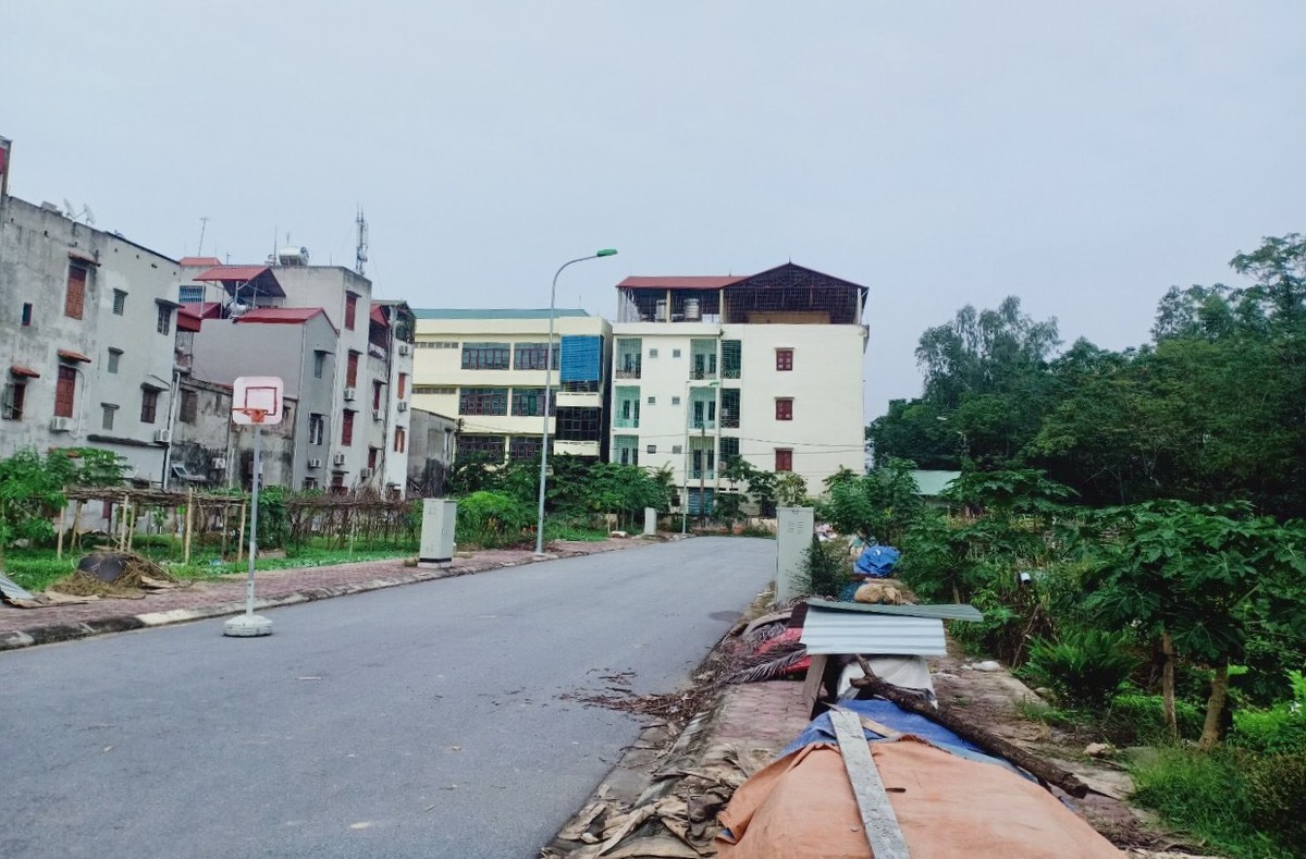 Kl99kl ưu đãi độc quyền xung quanh khu vực đất đấu giá Sau Chùa (phường Yên Nghĩa). Ảnh: nhân vật cung cấp