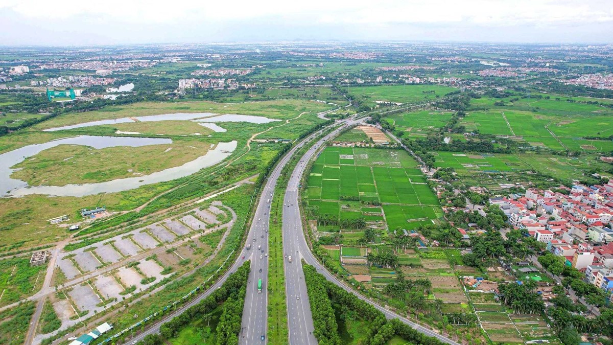 Hình minh họa.