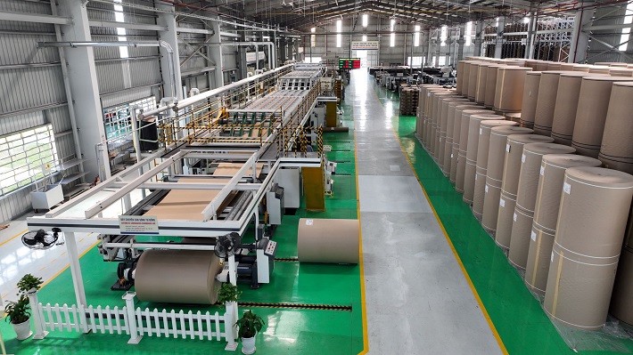 Các dòng sản phẩm liên quan đến bao bì giấy đang có nhiều dư địa tăng trưởng.