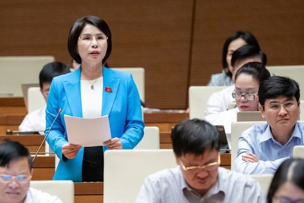 Đại biểu Trần Thị Nhị Hà (Hà Nội).