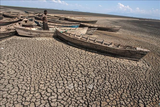 Cảnh khô hạn tại hồ Chilwa ở khu vực Zomba, miền đông Malawi. Ảnh: AFP/TTXVN Cảnh khô hạn tại hồ Chilwa ở khu vực Zomba, miền đông Malawi. Ảnh: AFP/TTXVN
