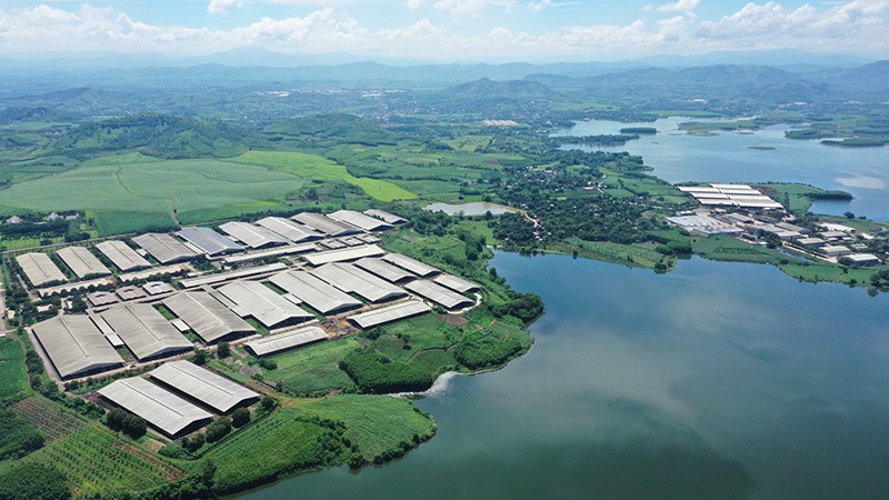 Tháng 12/2020, Trang trại TH xác lập kỷ lục thế giới “Cụm trang trại tập trung ứng dụng công nghệ cao với quy trình Kl994 nhà cái bóng đá world cup khép kín quy mô lớn nhất thế giới” do Liên minh Kỷ lục Thế giới chứng nhận và đến nay, kỷ lục thế giới này vẫn do TH nắm giữ