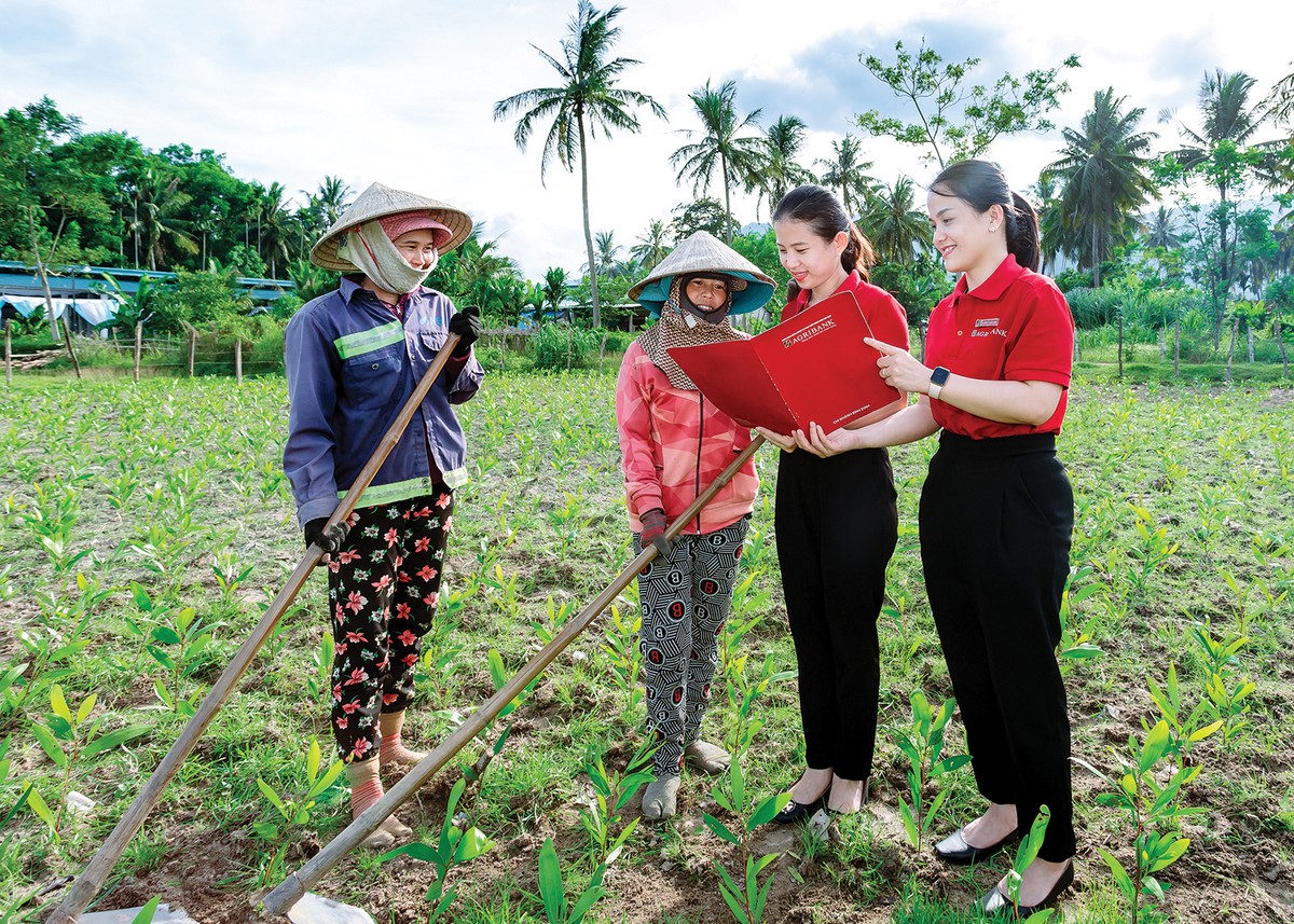 Tại Việt Nam, Kl99kl phiên bản hoạt động vi mô đã được triển khai từ nhiều năm nay nhưng chưa thành công