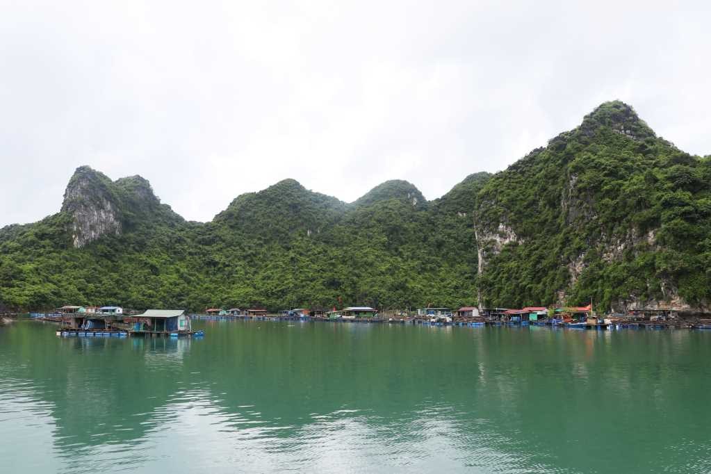 Làng Chài cống Lão Vọng trên Vịnh Bái Tử Long. Ảnh: Quảng Ninh Portal