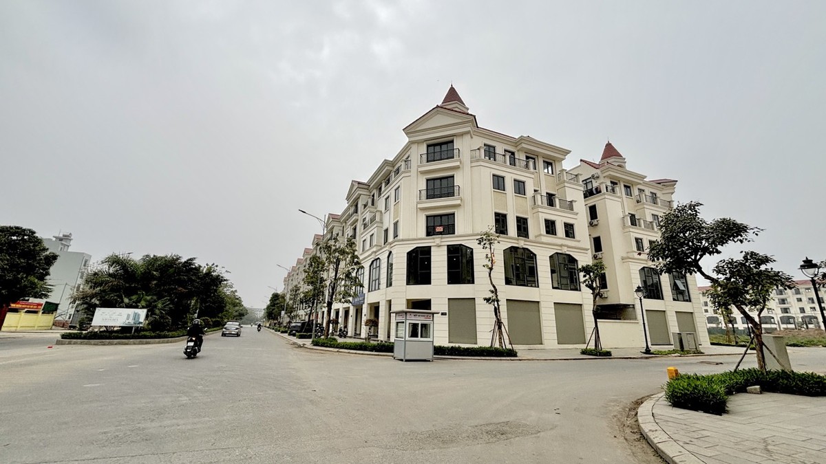 Dù giá bán đắt đỏ là vậy nhưng giá thuê cả căn nhà diện tích 100 m2, 5 tầng, chỉ dừng ở mức 26 triệu đồng/tháng. Nếu chỉ thuê riêng tầng 1, mức giá sẽ là 12 - 13 triệu đồng/tháng. Theo quan sát của phóng viên, phân khu này hiện vẫn khá vắng vẻ, lượng người chuyển đến sinh sống chưa nhiều.