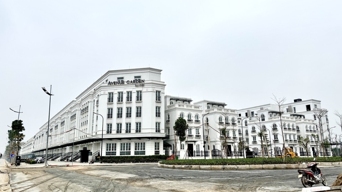 Hiện chủ Kl99ok phiên bản mới đang đưa ra giá thuê cho những căn liền kề xây thô là 30 - 35 triệu đồng/tháng. Với những căn đã hoàn thiện nội thất cơ bản, được lắp đặt thang máy, điều hòa…, giá thuê khoảng 80 - 120 triệu đồng/tháng. Đây vẫn chưa phải là mức giá cuối, khách hàng có thể tiếp tục đàm phán để hạ giá.