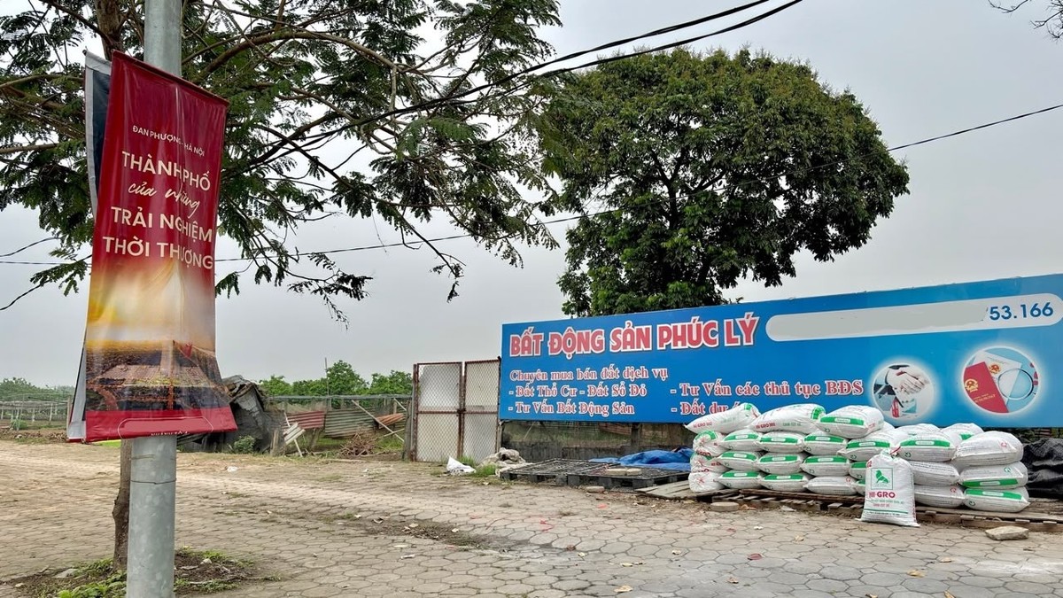 Trong vai người đi mua đất thổ cư, phóng viên Báo điện tử Kl99ok phiên bản mới đã được một môi giới viên tên T.A đưa đi xem nhiều mảnh đất tại xã Tân Hội, huyện Đan Phượng. Khu vực này đang được giới Kl99ok phiên bản mới đặc biệt quan tâm nhờ sự xuất hiện của một công trình có tổng mức Kl99ok phiên bản mới hơn 18.000 tỷ đồng.