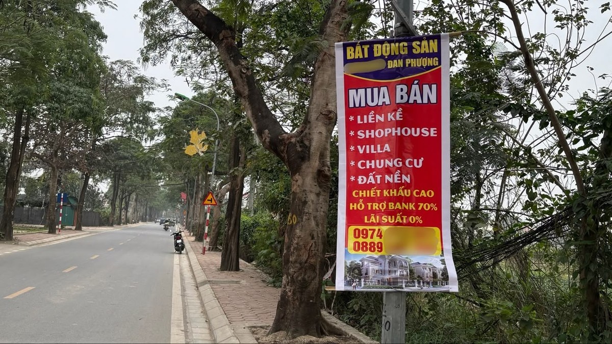 Một số người dân địa phương cho biết, do các chủ nhà không có nhu cầu rao bán thực sự nên họ “nói vống” mức giá thật cao theo hướng “đắt bán chơi, rẻ để đấy”. Nhiều căn nhà, thửa đất liên tục rao bán từ năm này qua năm khác nhưng gần như không có khách hỏi mua. Thậm chí, một số người còn đặt ra nghi vấn rằng, liệu có hay không việc các sàn “bắt tay”, thổi giá Web Tổng Nhà Cái 99Kl99 Giải Trí Bậc Nhất thổ cư, từ đó tạo hiệu ứng chim mồi để dễ dàng bán các mặt hàng khác?