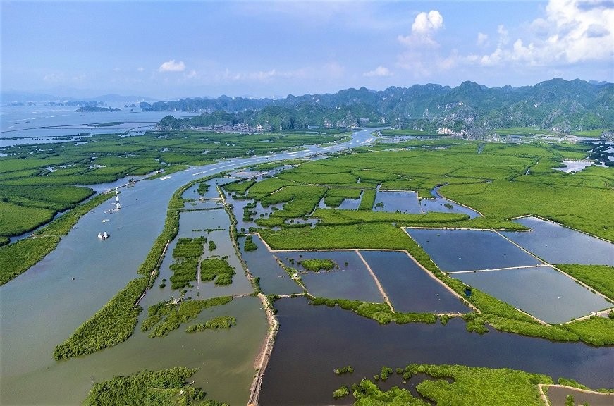 Hải Phòng đề xuất thí điểm cơ chế Kl991.com nạp rút nhanh thực hiện biện pháp giảm phát thải khí nhà kính theo các cơ chế trao đổi, bù trừ tín chỉ các-bon.