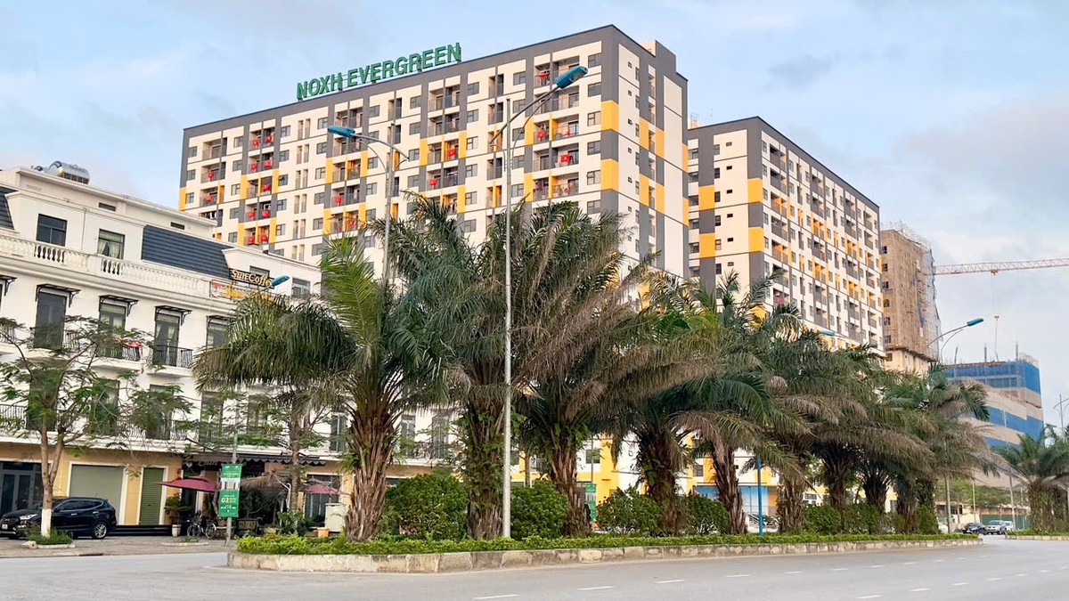 Nhà ở Trang Chủ KL99Com Số 1 Link Đăng Ký KL999 Dự án nhà ở Trang Chủ KL99Com Số 1 Link Đăng Ký KL999 Evergreen Tràng Duệ có vị trí nằm ngay cạnh Khu công nghiệp Tràng Duệ, Hải Phòng. Ảnh: Quỳnh Nga