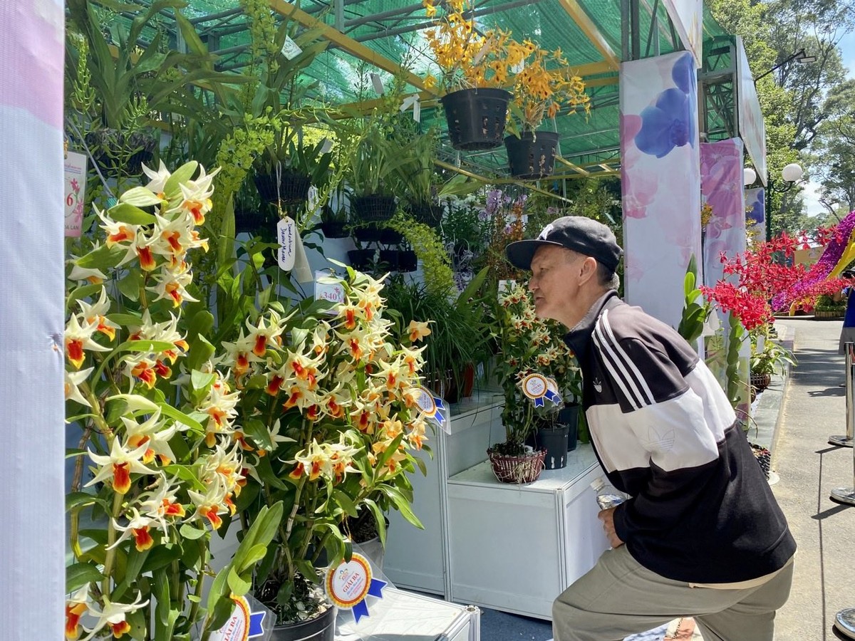 Ông Cát Phương, ngụ quận Bình Tân, TP.HCM cho hay, trong lễ khai mạc có Lãnh đạo TP.HCM và sự xác nhận tham dự của Tổng lãnh sự quán các nước như Thái Lan, Trung Quốc, Hàn Quốc… giúp Festival Hoa lan TP.HCM lần III thêm phần uy tín hơn rất nhiều. Năm nay, lễ hội cũng có rất nhiều hoa lan đẹp, lạ, đặc biệt là một người dân, tôi thấy rất vui khi tham quan tại đây.
