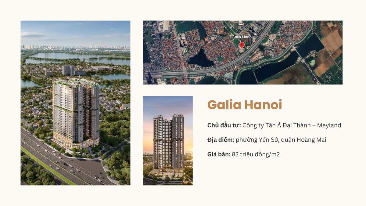 Galia Hanoi cũng đã được "trình làng" sau hơn một thập kỷ "đứng hình".