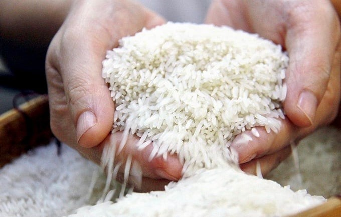 Xuất khẩu gạo Việt vẫn duy trì ổn định trong ngắn hạn, sẵn sàng tăng trưởng trong dài hạn.
