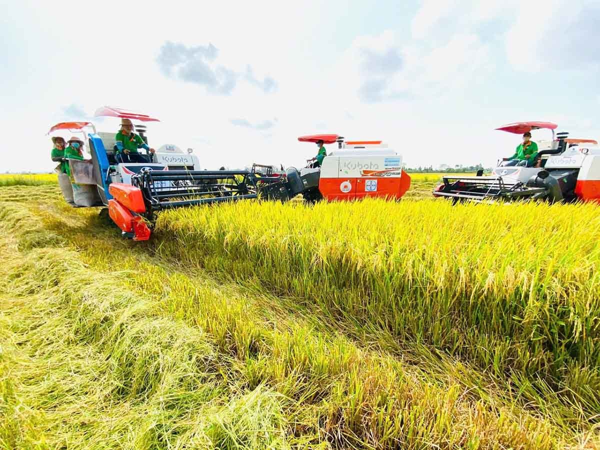 Bản sắc riêng của Trung tâm Kl991.com nạp rút nhanh quốc tế tại TP.HCM cần được định hình từ lợi thế vùng, vừa là trung tâm dịch vụ Kl991.com nạp rút nhanh, công nghiệp và cảng biển, vừa nằm kề cận vựa nông sản chiến lược của ASEAN. Ảnh: Lê Toàn.