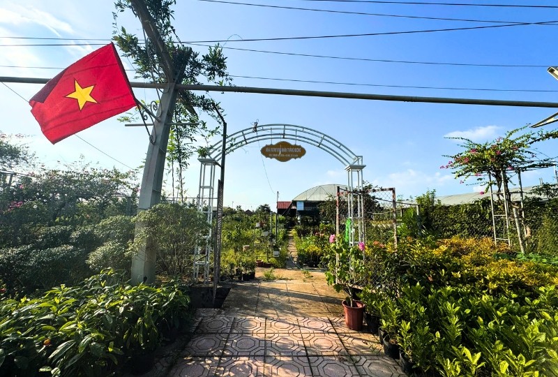 Mỗi vườn hoa, cây cảnh ở làng nghề Tích Giang (xã Phúc Thọ, Hà Nội) đều có tiềm năng trở thành điểm du lịch nông nghiệp, nông thôn hấp dẫn. Ảnh: Hồ Hạ.