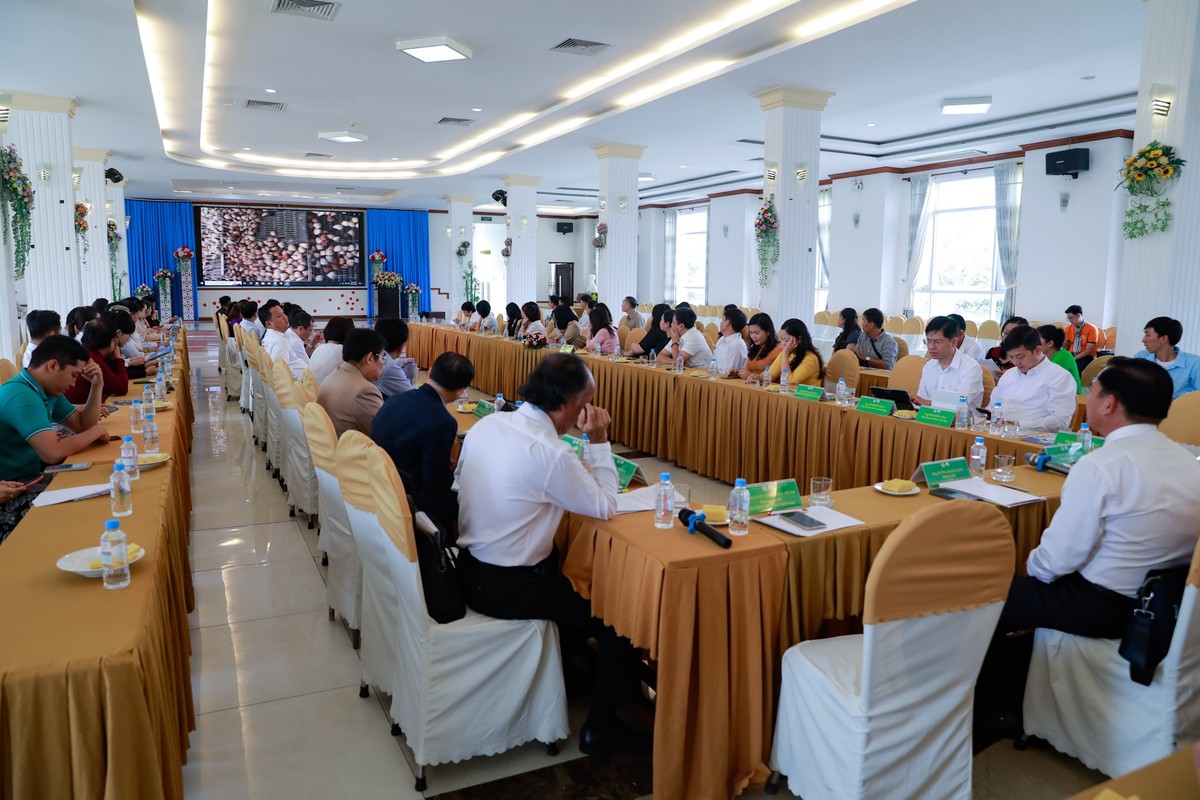Quang cảnh Hội nghị.