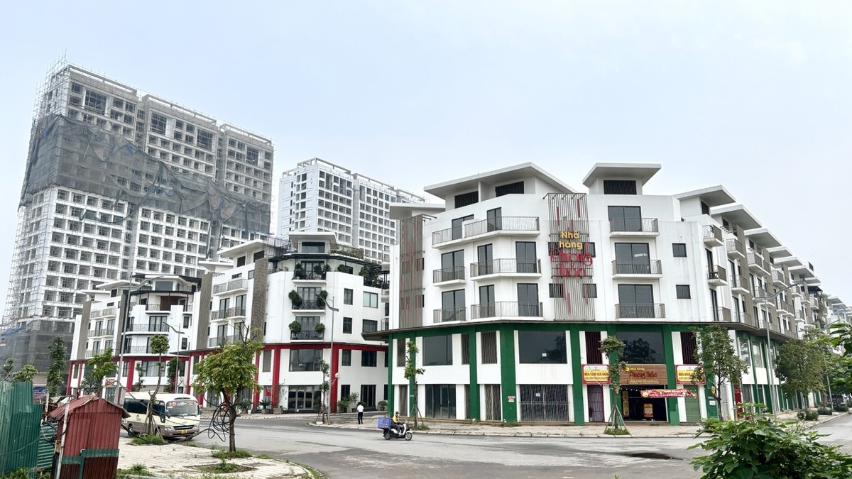 Việc minh bạch hoá dữ liệu đầu vào là cơ sở để 99Kl99 trực tiếp đá gà triển khai các chính sách điều tiết thị trường. Ảnh: Thanh Vũ