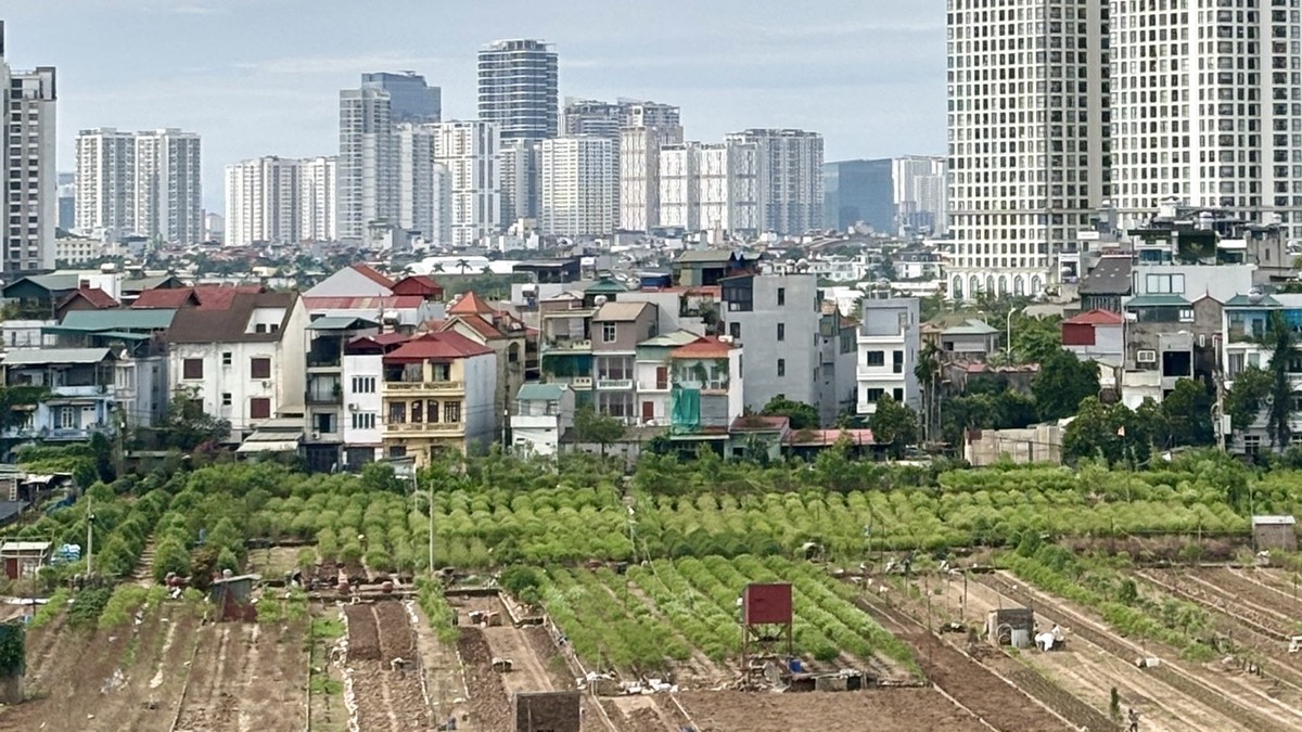 Việc chuyển đổi đất nông nghiệp sang đất ở sẽ không tạo áp lực Kl991.com nạp rút nhanh lên người dân. Ảnh: Thanh Vũ