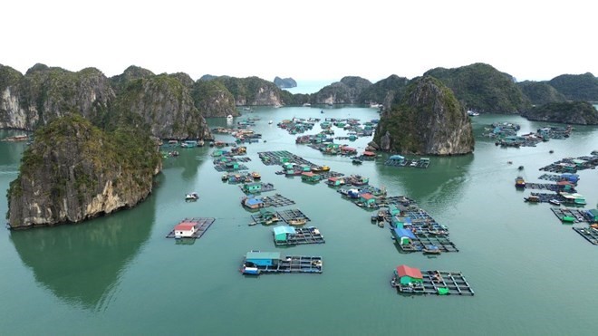 Hải Phòng xây dựng chương trình phát triển các sản phẩm du lịch đẳng cấp gắn với bảo tồn di sản.
