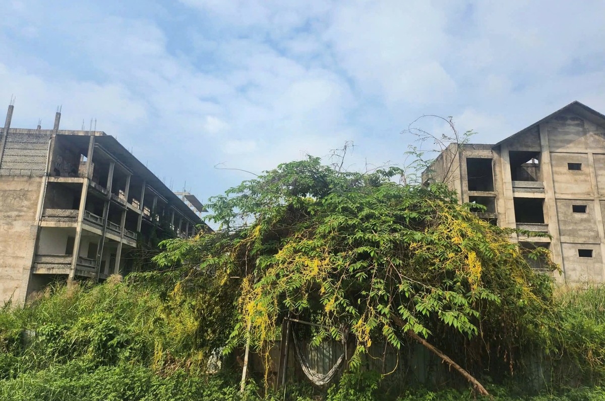 Dự án Trường THCS Hiệp Bình Phước bị bỏ hoang Dự án Trường THCS Hiệp Bình Phước bị bỏ hoang