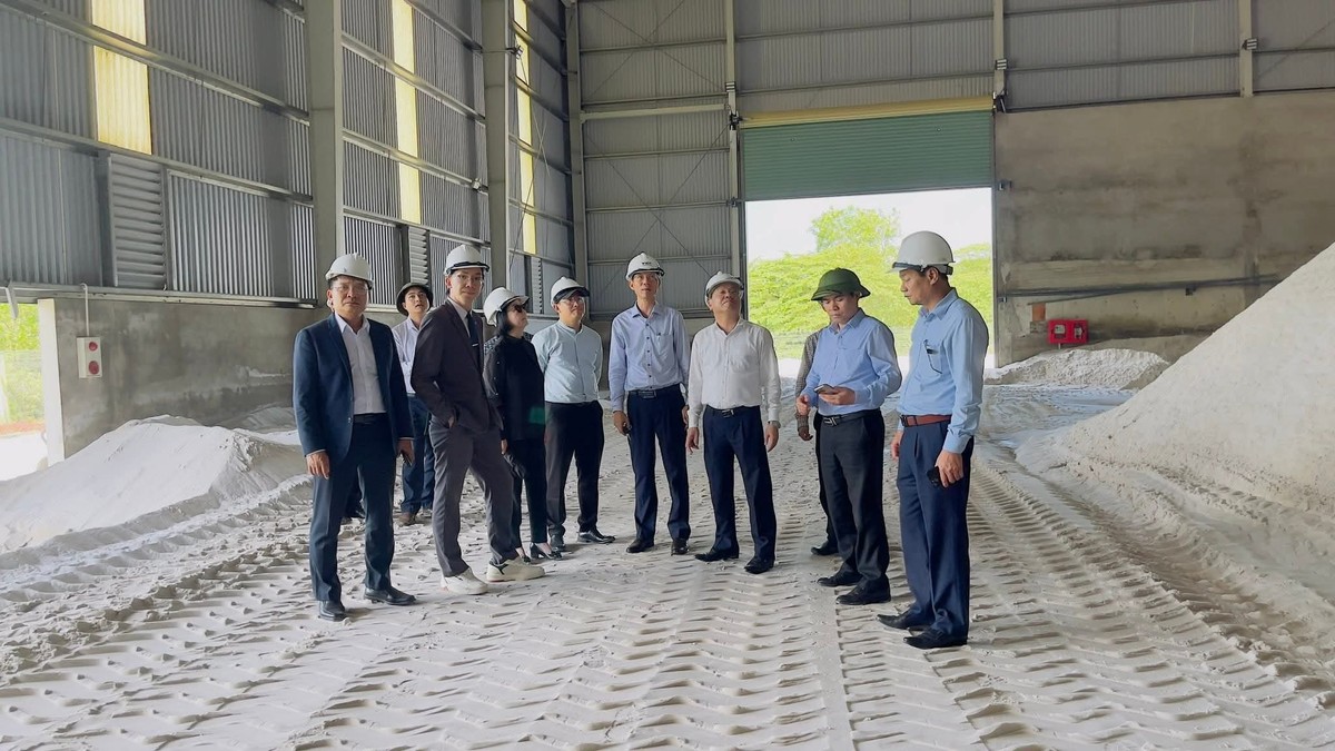 Đoàn công tác Công ty CP Vietnam Wafer và lãnh đạo UBND tỉnh Quảng Trị khảo sát chất lượng cát trắng tại KC Quán Ngang.