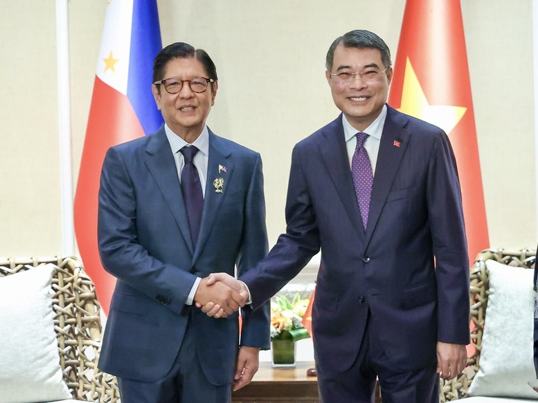 Thủ tướng Lê Minh Hưng hội kiến Tổng thống Philippines Ferdinand Romualdez Marcos Jr - Ảnh: VGP/Nhật Bắc
