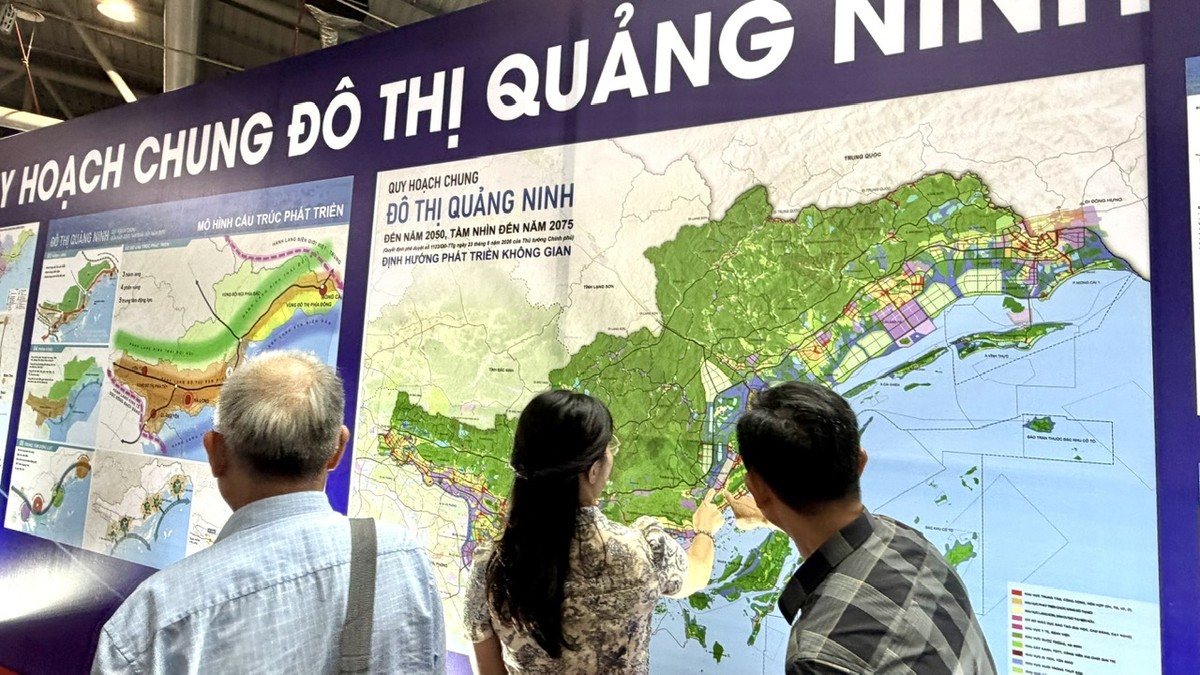 Các đại biểu xem đồ án quy hoạch của Quảng Ninh. Ảnh: Quỳnh Nga