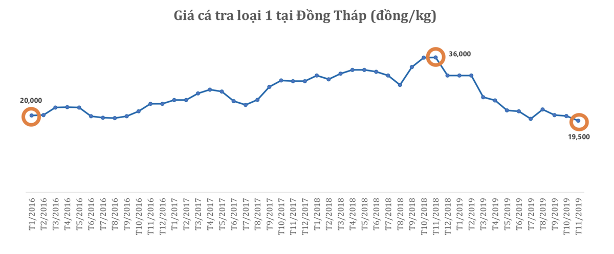 10 tháng, kim ngạch xuất khẩu Nam Việt (ANV) đạt 119,4 triệu USD, tăng 6% ảnh 1
