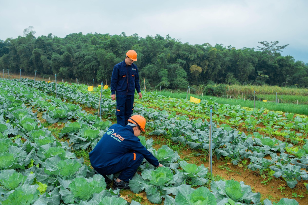 Kĩ sư nông nghiệp kiểm tra, đánh giá các sản phẩm Kĩ sư nông nghiệp kiểm tra, đánh giá các sản phẩm