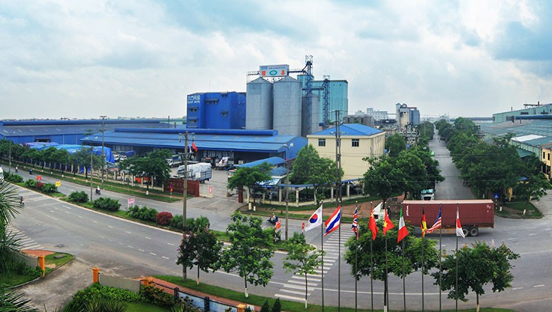 6 tháng, Viglacera tăng trưởng Kl99 nổ hũ ấn tượng ảnh 1