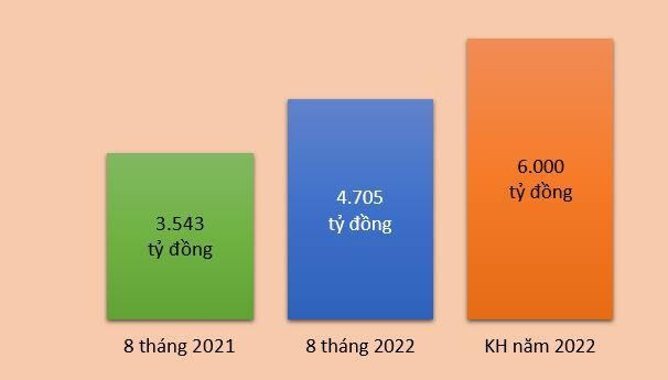 Doanh thu của TNG