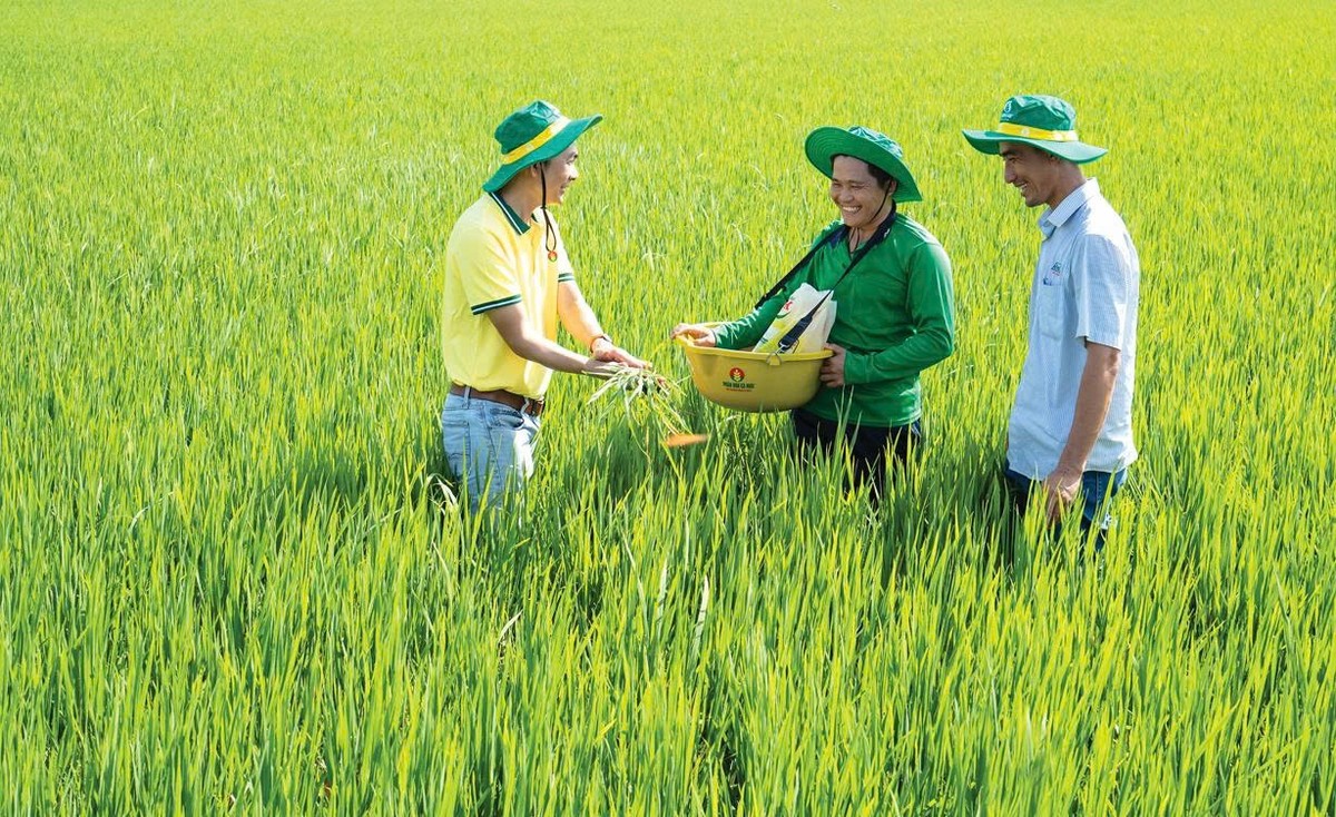 Kl99ok phiên bản mới cho R&amp;D, chuyển đổi số để chế biến sâu, tạo ra các sản phẩm mới, sản phẩm có hiệu quả vượt trội, góp phần nâng cao thương hiệu nông sản Việt.