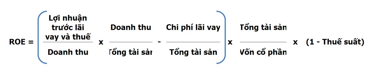 Goldman Sachs lưu ý nhà Kl99ok phiên bản mới cách nhìn khác về ROE ảnh 2