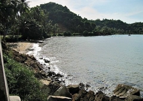Kho báu triệu đô dưới đáy biển Việt Nam ảnh 4