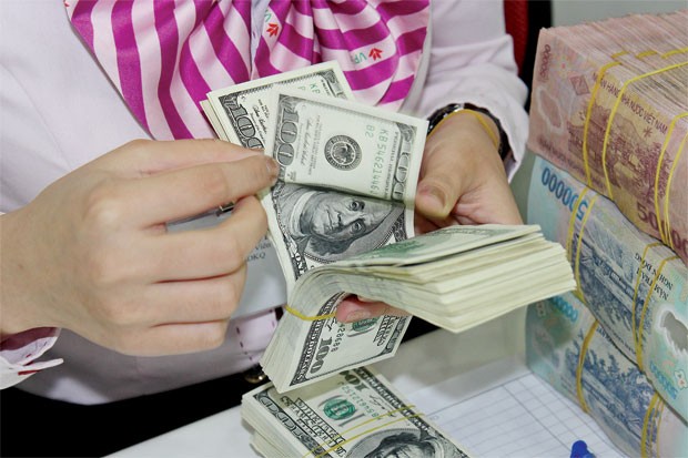Nới tín dụng ngoại tệ, không làm tăng sức cầu? ảnh 1