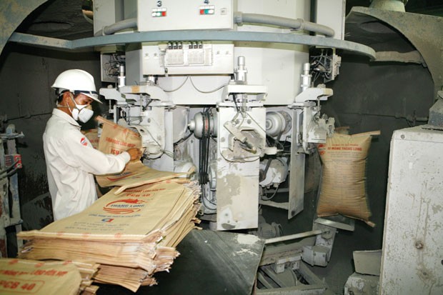 Xi măng Thăng Long lột xác sau “đại phẫu” ảnh 1