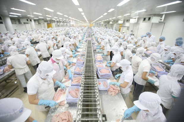 Anvifish: Cơ hội từ tự chủ nguồn nguyên liệu ảnh 1