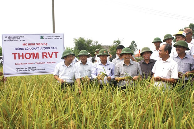 NSC lấy tư duy công nghiệp làm nông nghiệp ảnh 1