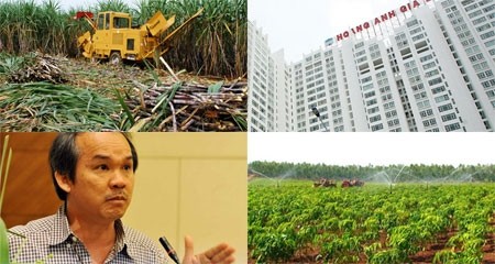 Hết BĐS, đến ngành đường sốc vì bầu Đức ảnh 2