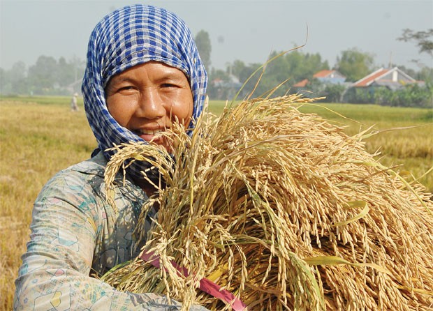20 năm cho một tấm lá chắn rủi ro ảnh 1
