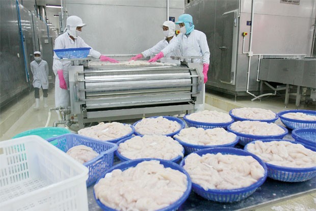 VASEP sẽ bảo vệ DN thủy sản Việt Nam tới cùng ảnh 1
