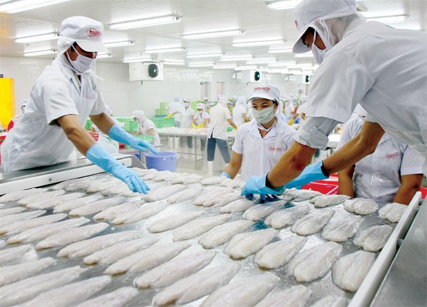 Mỹ tăng thuế với cá tra Việt Nam: Tổn thương DN lớn, cơ hội cho DN nhỏ ảnh 1