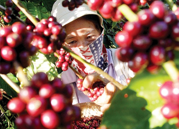Sẽ không có “bữa trưa miễn phí”! ảnh 1