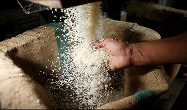 Lợi dụng trợ giá gạo để trục lợi ảnh 1