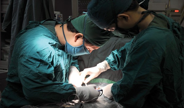 Trục lợi Kl99kl phiên bản hoạt động, không chỉ khách hàng ảnh 1