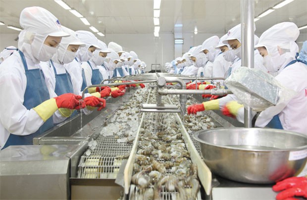 Minh Phú quyết hủy niêm yết quá dễ, vì sao?  ảnh 1