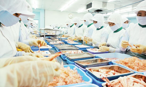 FMC, bên thâu tóm được gì? ảnh 1