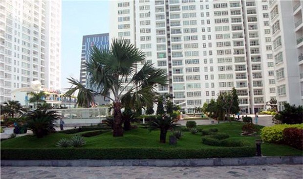 TP. HCM: Nghịch lý giao dịch đất nền ảnh 2